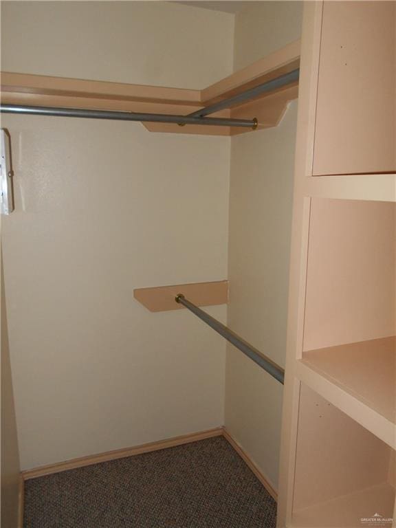 spacious closet with carpet flooring