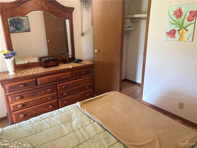 911 Santa Anna Dr, Alamo, TX 78516 - bedroom featuring baseboards, a closet, and wood finished floors