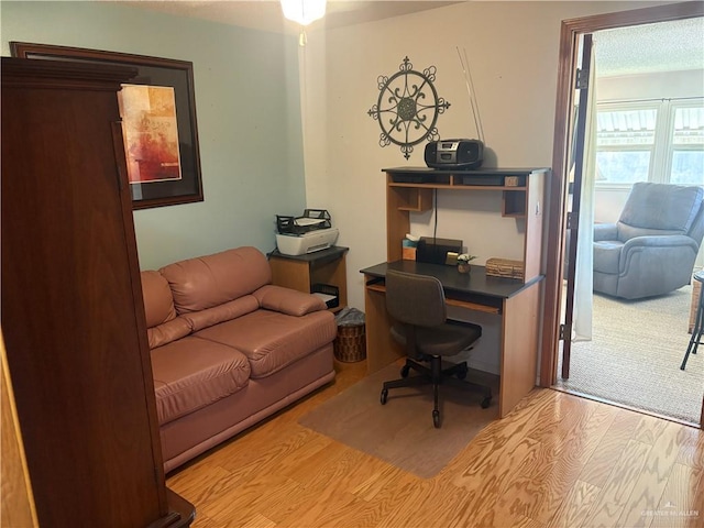 911 Santa Anna Dr, Alamo, TX 78516 - office space featuring wood finished floors