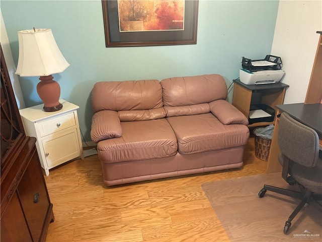 911 Santa Anna Dr, Alamo, TX 78516 - office space featuring light wood-style floors