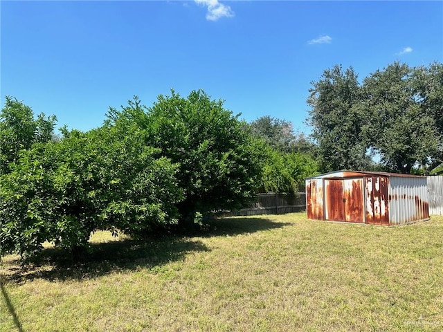 view of yard featuring a storage unit