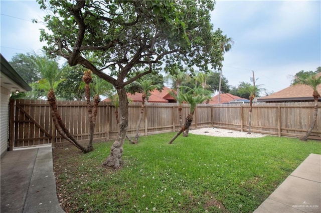 1717 Edward Dr, Edinburg, TX 78539 - view of yard