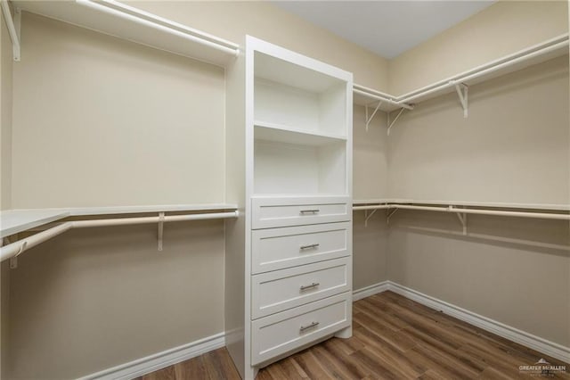 spacious closet with dark hardwood / wood-style flooring