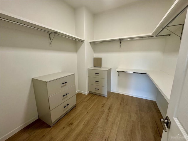 walk in closet featuring light hardwood / wood-style floors