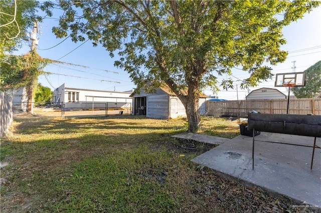 view of yard featuring a storage shed and a patio