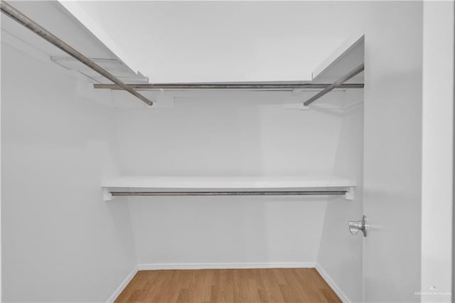 walk in closet with light wood-style flooring
