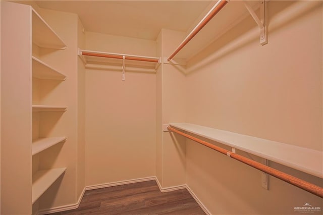 walk in closet with dark wood-type flooring