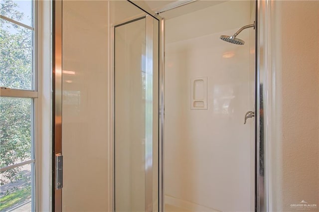 bathroom featuring a shower with shower door