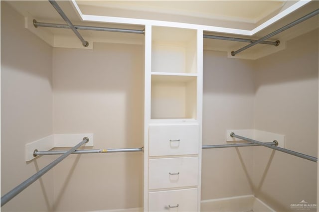 view of walk in closet