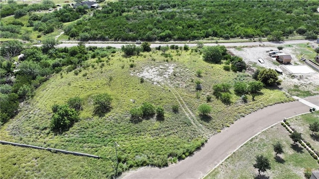 109 Sunset Ln, Rio Grande City, TX 78582 - photo 6