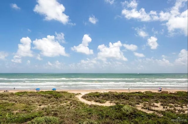 water view featuring a beach view