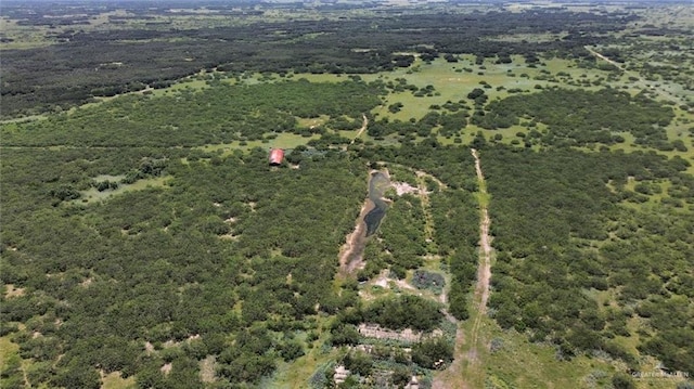 694 US Highway 281, Falfurrias, TX 78355 - photo 14
