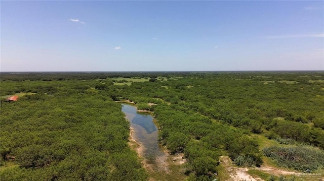 694 US Highway 281, Falfurrias, TX 78355 - photo 10