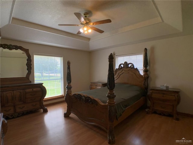 9401 N Fm 1015, Mercedes, TX 78570 - bedroom with a tray ceiling, light wood-style floors, multiple windows, and baseboards
