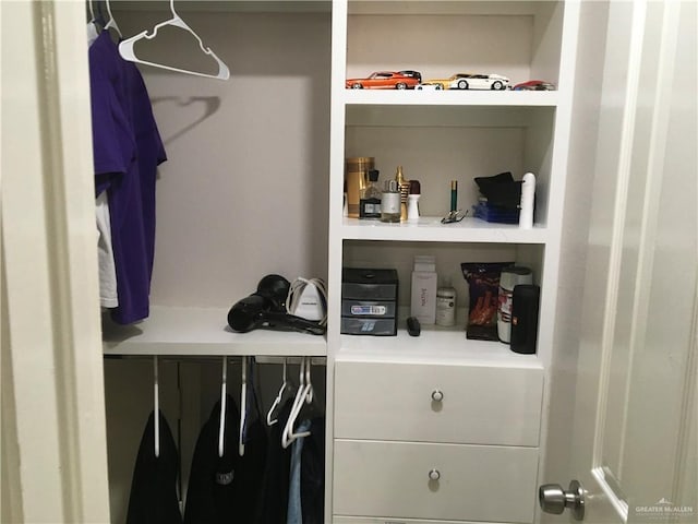 view of closet