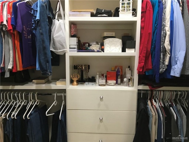 view of spacious closet