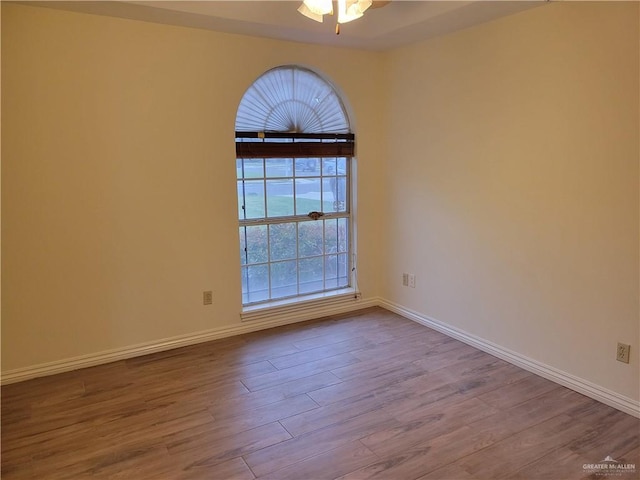 unfurnished room with ceiling fan and light wood-type flooring