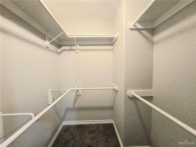 walk in closet with carpet