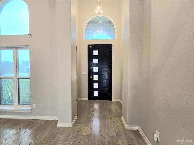 entrance foyer featuring wood finished floors, a towering ceiling, and baseboards