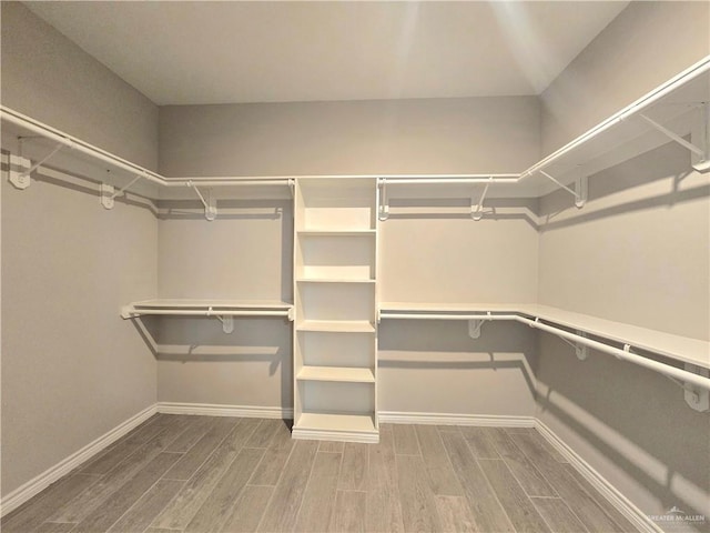 spacious closet with wood tiled floor