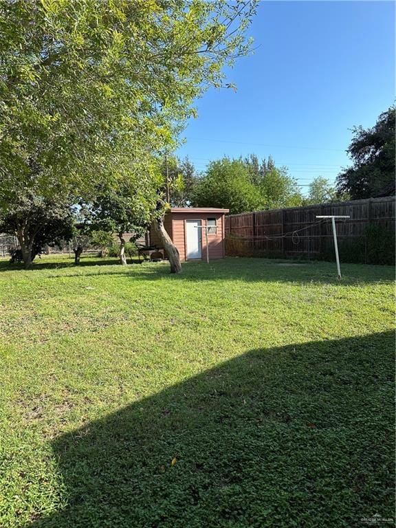 view of yard featuring a shed