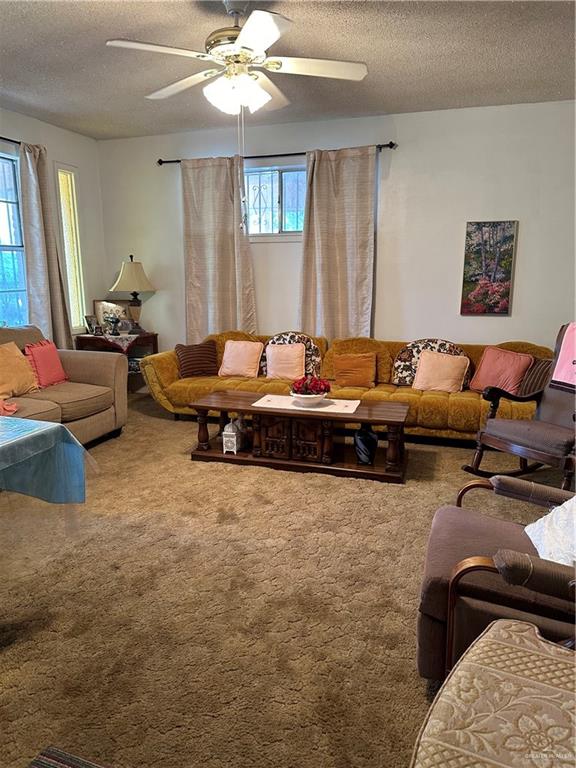 living room featuring carpet flooring, ceiling fan, and a textured ceiling