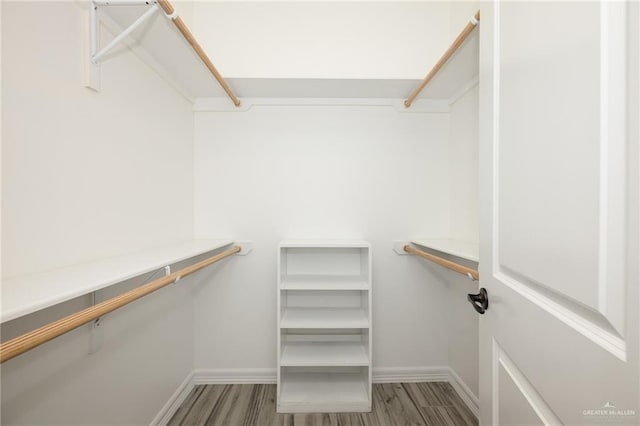 spacious closet featuring wood finished floors