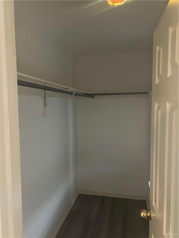 spacious closet featuring dark wood-type flooring