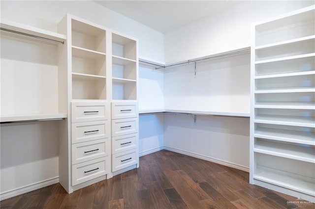 spacious closet with dark wood-type flooring and built in study area