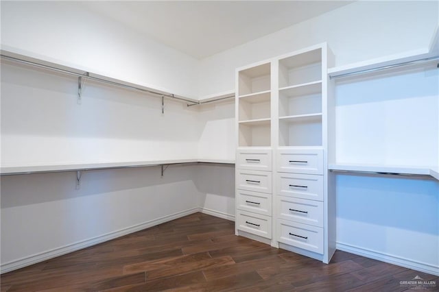 walk in closet featuring dark wood-style floors and built in study area