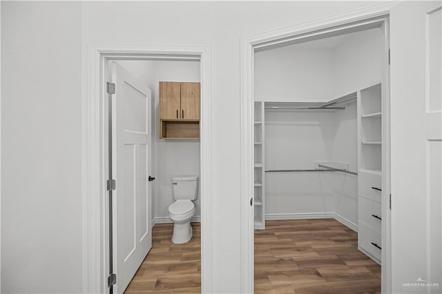 2413 N Woody St, Edinburg, TX 78541 - bathroom with wood finished floors and a spacious closet