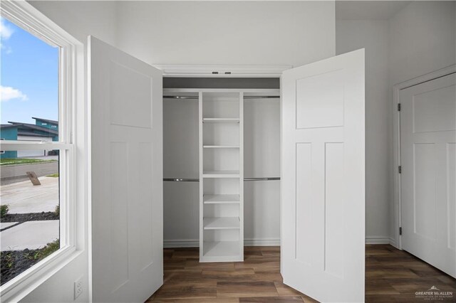 2413 N Woody St, Edinburg, TX 78541 - view of closet