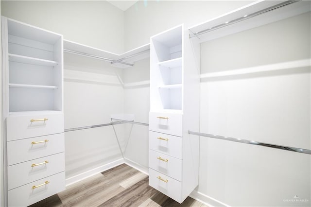 walk in closet with hardwood / wood-style flooring