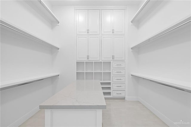 view of walk in closet