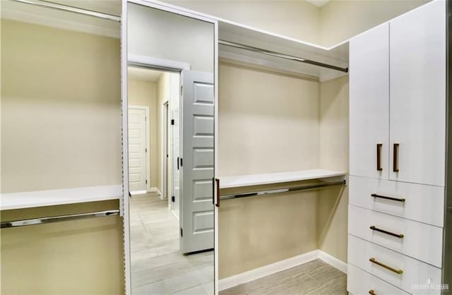 spacious closet with light wood-type flooring