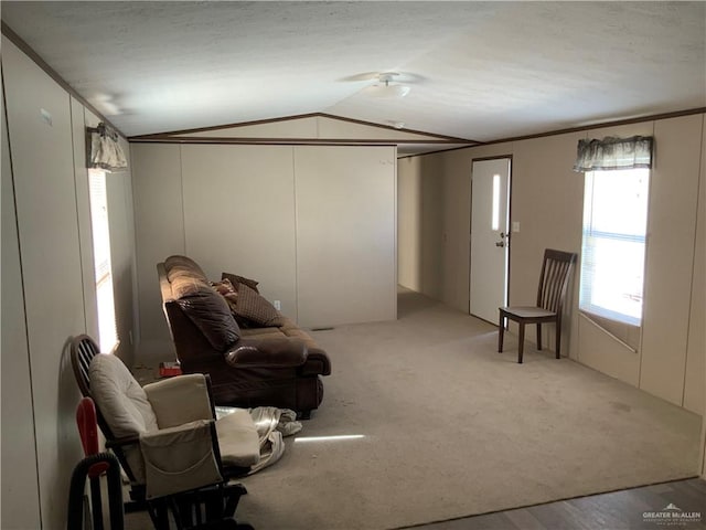 living room featuring light wood-type flooring and vaulted ceiling