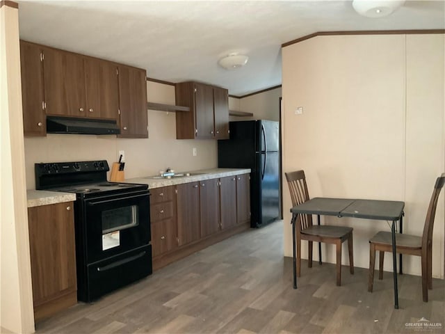 kitchen featuring sink, ventilation hood, light hardwood / wood-style flooring, and black appliances