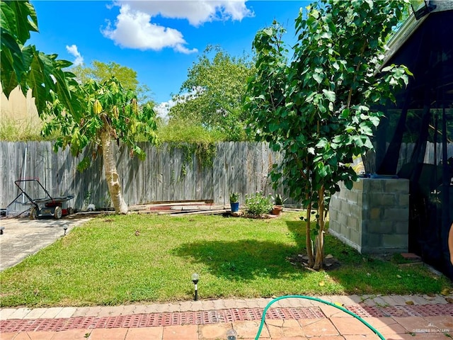 view of yard featuring a patio