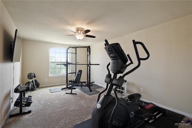 3502 Plantation Grove Blvd, Mission, TX 78572 - workout area with carpet and a ceiling fan