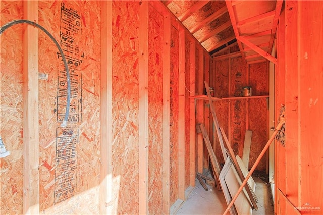 miscellaneous room featuring vaulted ceiling