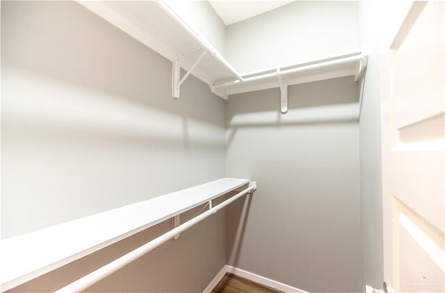 walk in closet with hardwood / wood-style flooring