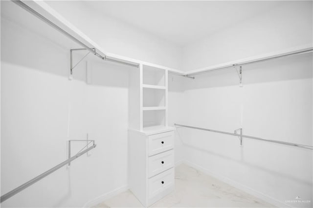 view of walk in closet