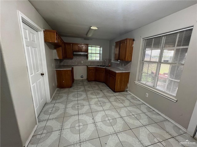 kitchen featuring sink and backsplash