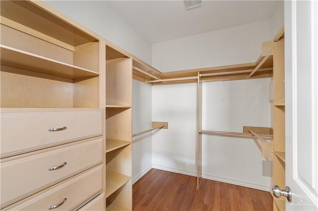 walk in closet featuring hardwood / wood-style floors