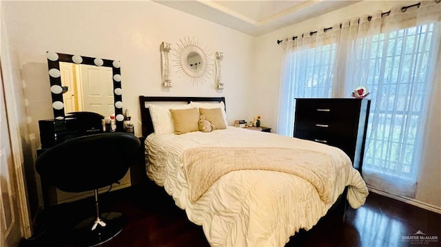 6916 Avenida Del Paseo St, Mission, TX 78572 - bedroom with multiple windows, dark wood finished floors, and baseboards