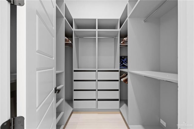 view of spacious closet