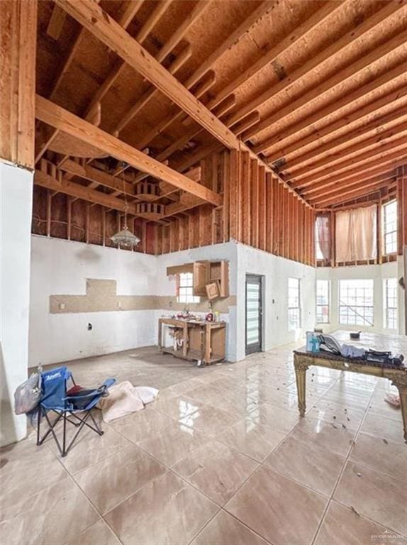 miscellaneous room featuring a towering ceiling