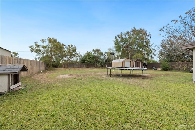 view of yard with a storage shed and a trampoline