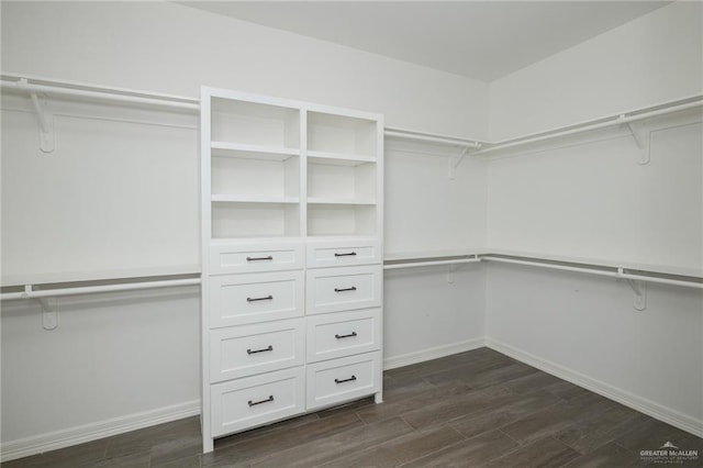 walk in closet featuring dark wood finished floors