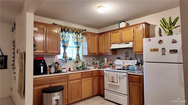 9212 N 30th St, Mcallen, TX 78504 - kitchen with under cabinet range hood, a sink, white appliances, and light countertops